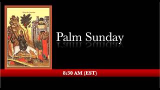 8:30 AM (EST) Palm Sunday - 3rd &amp; 6th hours &amp; Divine Liturgy