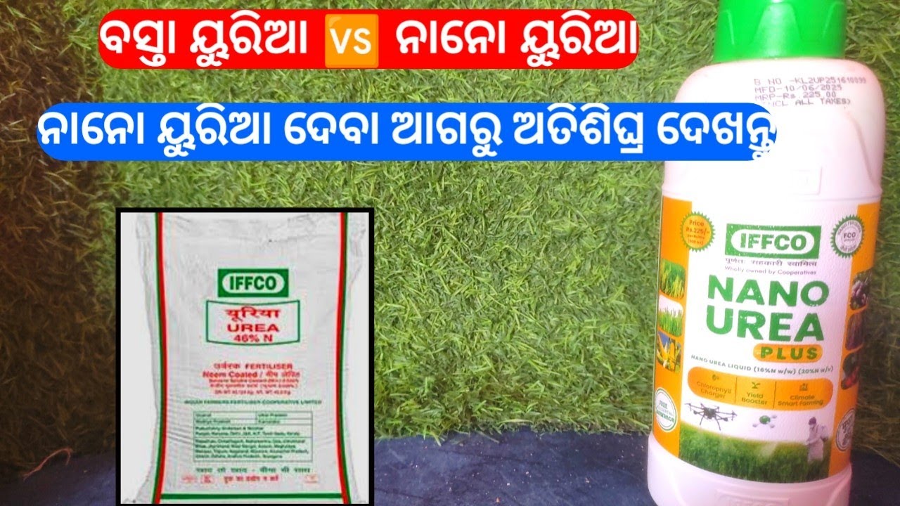 ନାନୋ ୟୁରିଆ vs ବସ୍ତା ୟୁରିଆ ( ନାନୋ ୟୁରିଆ ଦେଉ ଥିଲେ ଅତିଶିଘ୍ର ଦେଖିବେ )କେଉଁ ୟୁରିଆ ବେସୀ କାମ ଦେବା Nano urea
