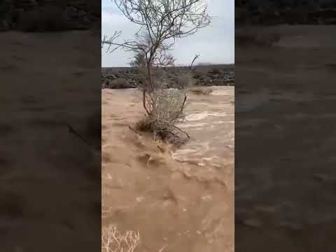 سيول جازان اليوم سيل المقلب شرق كوبري وادي الفرع جنوب سيول السعوديه