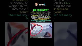 This Fly Earned Him 2,000,000