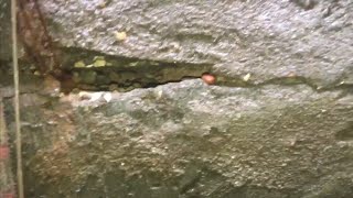 видео Глиняный замок вокруг колодца
