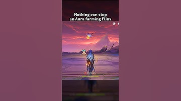 NOTHING CAN STOP AN AURA FARMING FLINS