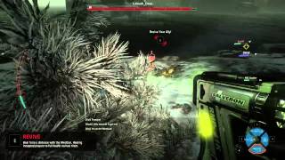 Evolve Alpha - medic