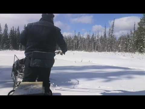Пахус 700 Авант