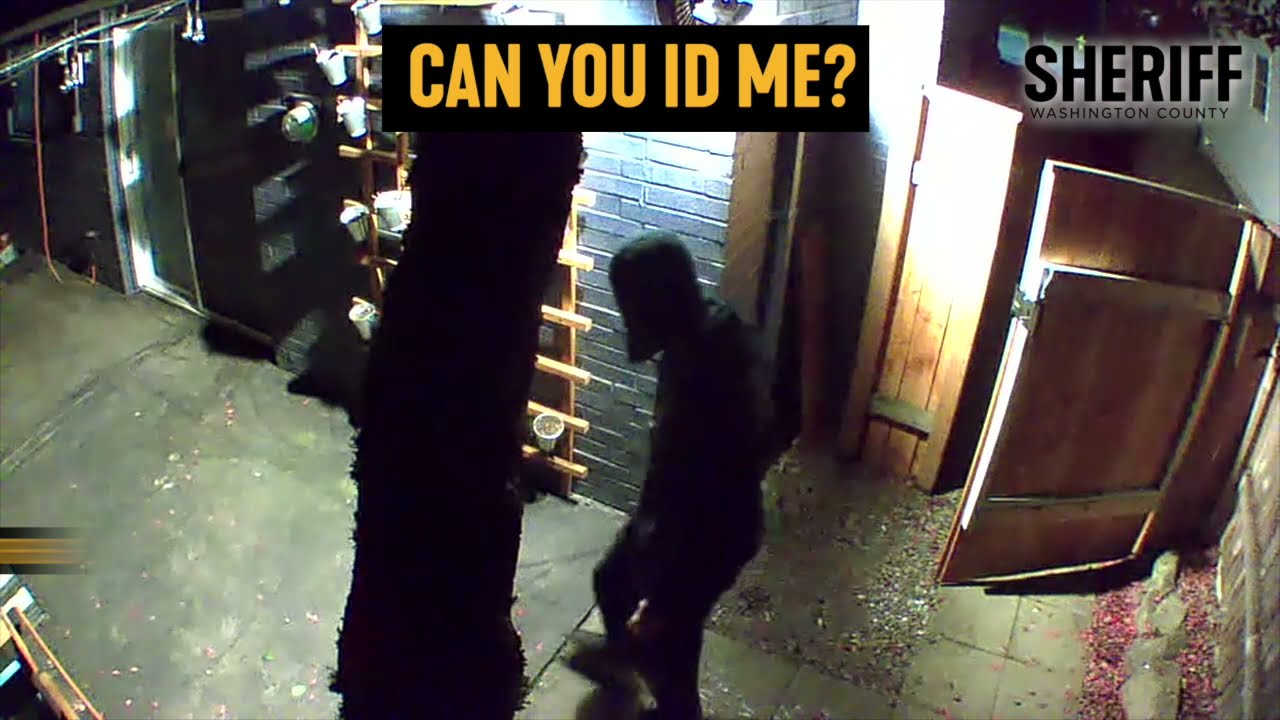 Burglary Suspect Caught On Camera Youtube