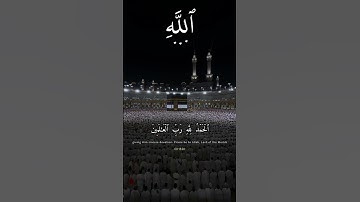 القران الكريم غذاء الروح #قران_كريم #quran #اكسبلور #قرآني_جناتي #المنشاوي