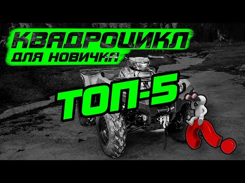 ТОП-5 квадроциклов для новичка