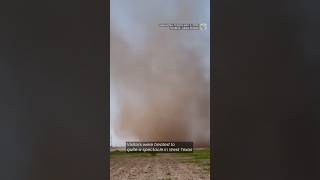 Large dust storm caught on camera in Texas field | #shorts #dustdevil #texas