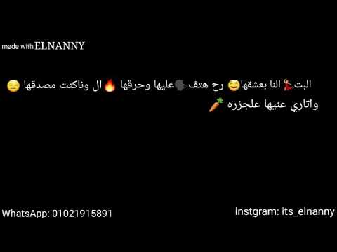 حالت واتس مهرجان البت ال انا بعشقها