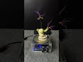 Lightning + onion + plants