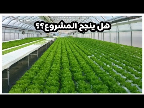 أول خطوة في مشروع زراعة 10 000 شتلة مرحلة التجهيز والتحضير