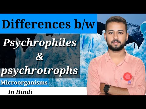 Vidéo: Différence Entre Les Psychrophiles Et Les Psychrotrophes