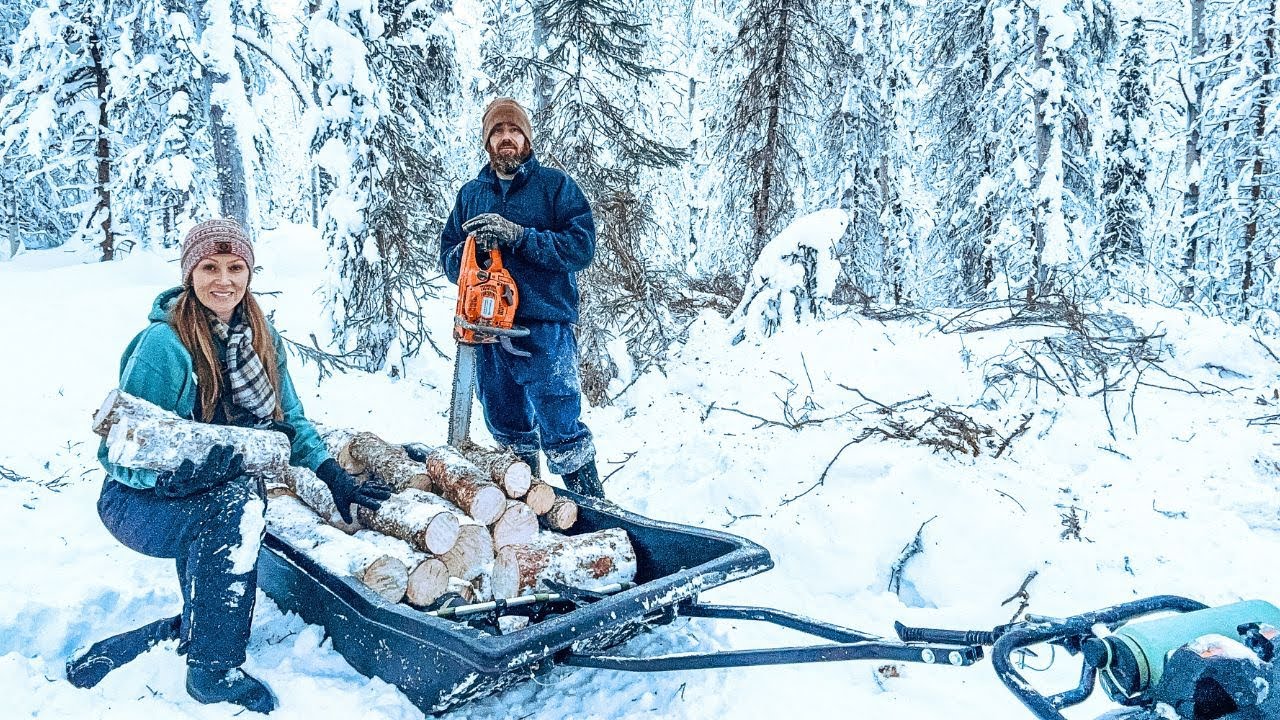 Harvesting Firewood in Alaska! Heating our Off Grid Cabin + Blueberry