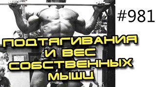 Подтягивания и вес собственных мышц. Турник и брусья для бодибилдера и турникмена(981. Тренировки с собственным весом. Подтягивания на турнике и отжимания на брусьях для бодибилдера и турник..., 2013-11-14T13:46:40.000Z)