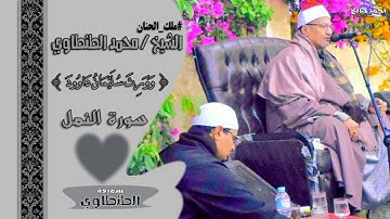 #ملك_الحنان | طنطاوي القلوب 💙 | سورة النمل - Surah Naml