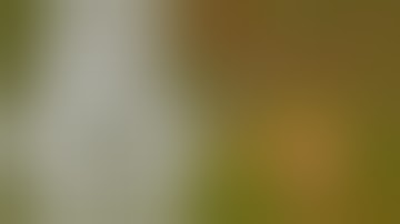 Every Way You can Die in Project Zomboid