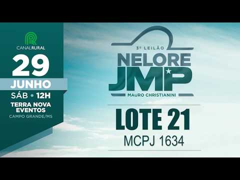 LOTE 21