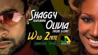Shaggy feat. Olivia - Wild 2nite (Jamstone Remix) Resimi