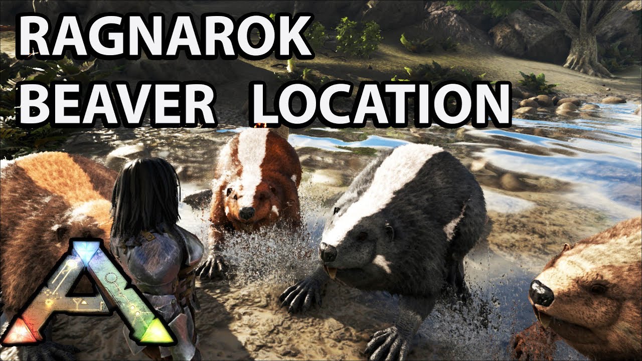 Beaver Location On Ragnarok Map Ark Survival Evolved Castoroidies Youtube