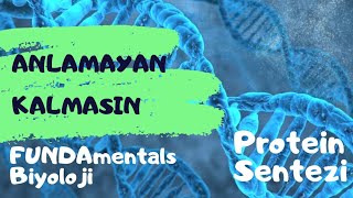 Anlamayan Kalmasın #1 Protein Sentezi / AYT Biyoloji / AYT Biyoloji