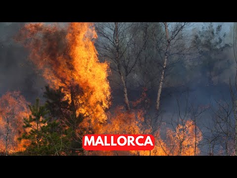 Video: Buitenlandse dienst waarschuwt voor 'extreem risico' als stormen Mallorca en Calpe treffen