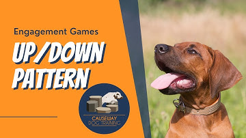 Up/Down Pattern Game for Engagement