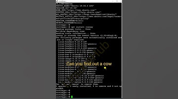 Can You Find a Cow in Linux Server 😇😇😇 #trending #shorts #linux