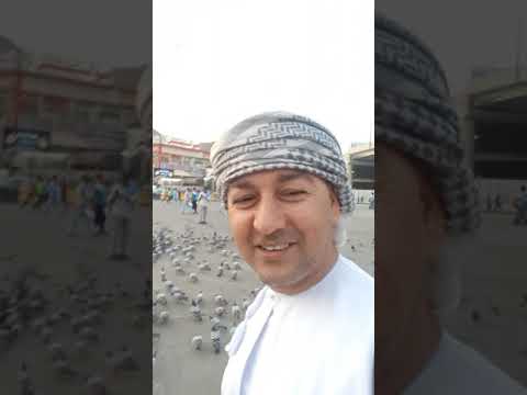 امام الحرم المكي سالم الهديفي