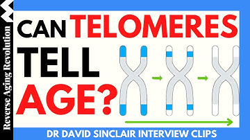 Can TELOMERES Tell Age ? | Dr David Sinclair Interview Clips