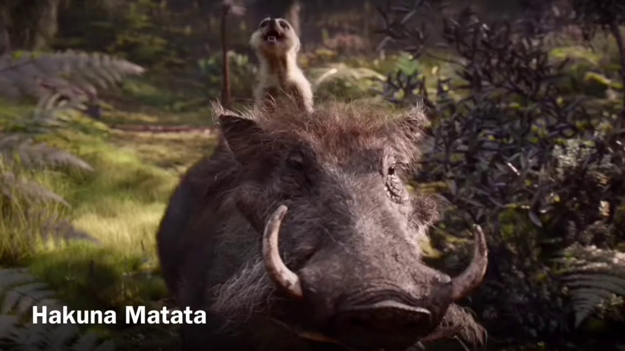 Nightcore - Hakuna Matata (The lion king 2019)