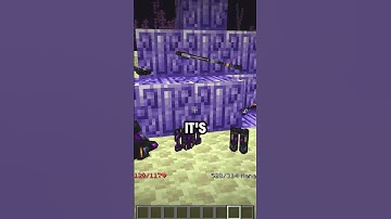 Things you should not do on the TavernSMP! IP: tavernmc.net
