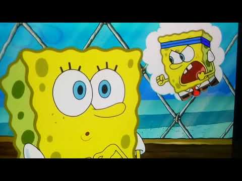 It S The New Nose That Has Betrayed Us 