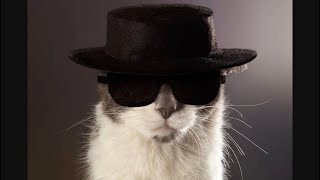 Wombo Ai - A Channels Beginning