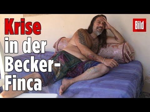 Zoff Um Bauchi: Jetzt Gehen Alle Aufeinander Los!