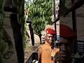 Burkina Faso's Banana Revolution Has Begun#shorts#ibrahimtraoré#burkinafaso
