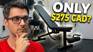Is Synergee FID the BEST BUDGET Adjustable Bench for YOUR Canadian Home Gym