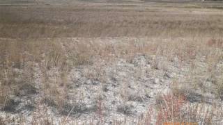 Featured North Platte, Ne Land Listing - 221.52 Acre Lot Lis
