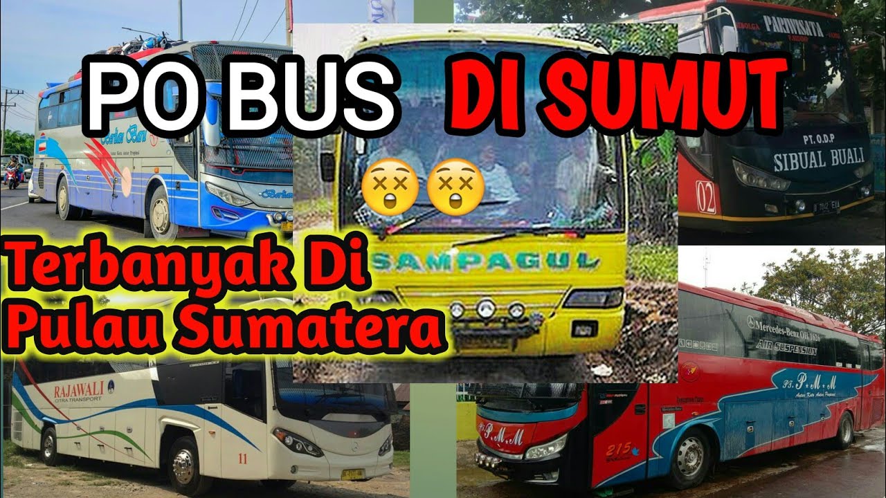 20 Lebih PO Bus Yang Bermarkas Di SUMUT Banyak
