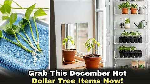 10 Things You Should Be Buying At Dollar Tree in December 2025