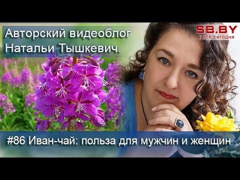 Иван-чай: польза для мужчин и женщин