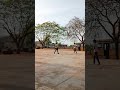 dav school ❤️#viral #nature #players  #plant #hazaribagh  #love #shorts #shortvideo #davschool