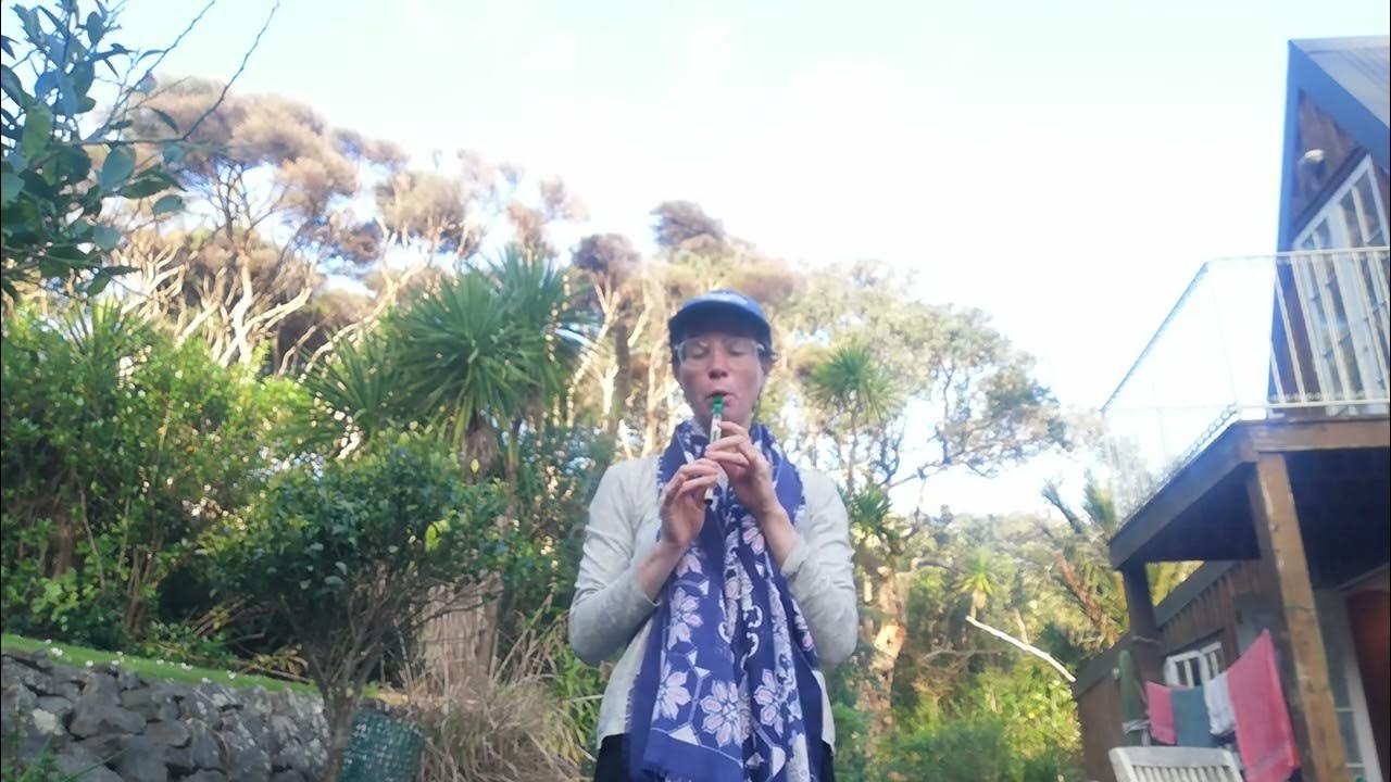 On Top of Old Smoky folk song on the Irish whistle YouTube