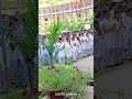 prayer in ABPRPG COLLEGE #youtube #god #viral