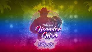 Hnos. Yaipén - Tributo a Lisandro Meza (Cover Audio) chords sheet