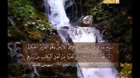 ايات عطره من الذكر الحكيم سورة الحشر ، للقارئ الشيخ #سعدون #حمادي