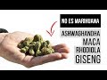 SUPLEMENTOS para combatir el ESTRÉS Y LA ANSIEDAD | Adaptógenos