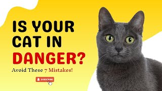 WARNING: Your Cat HATES You for These 7 Mistakes!| 7 Mistakes cat owners make | Cat Behaviour| Cats by All For Love 357 views 6 months ago 2 minutes, 53 seconds