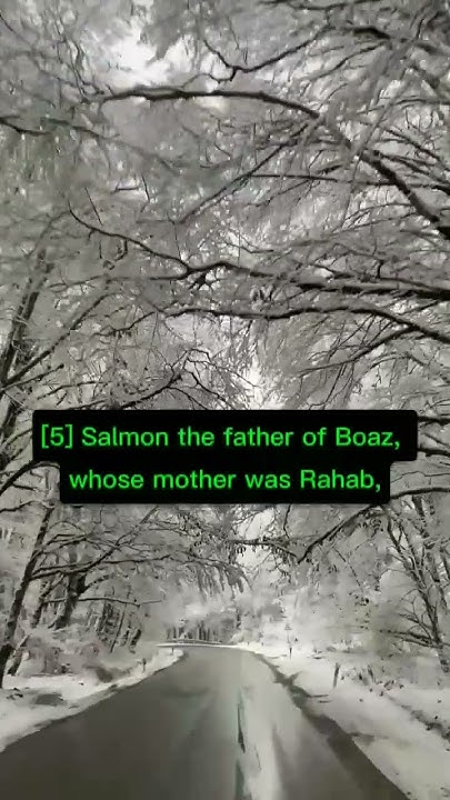 the-genealogy-of-jesus-the-messiah-matthew-chapter-1-verse-1-to-17