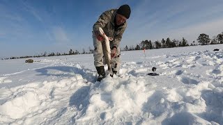 Рыбалка в -30°С. Щука рвёт жерлицы...