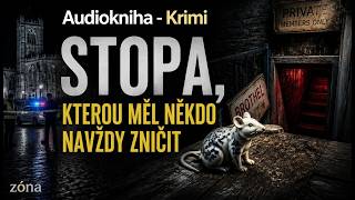 Stopa, kterou měl někdo navždy zničit | Audioknihy - Severská krimi | část 1